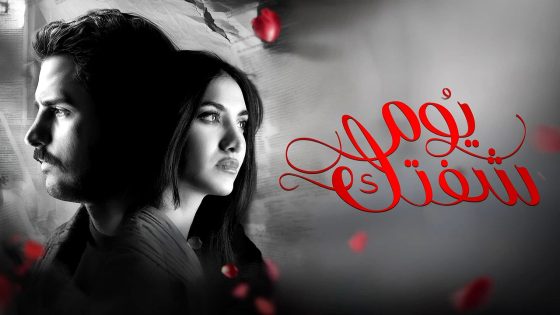 مسلسل يوم شفتك الحلقة 30 والاخيرة