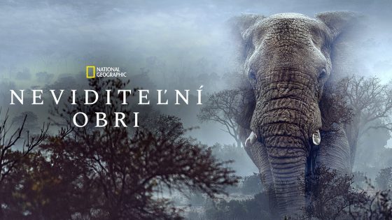 فيلم Ghost Elephants 2026 مترجم
